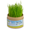 Pflanz-Cup mit Samen