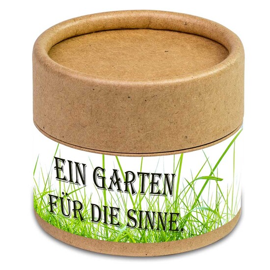 Pflanz-Cup mit Samen - Weihnachten - Glücksklee-Zwiebeln (* Je nach Verfügbarkeit der Glücksklee-Zwiebeln)