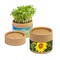 Pflanz-Cup mit Samen - Sonnenblume