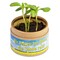Pflanz-Cup mit Samen - Sonnenblume