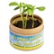 Pflanz-Cup mit Samen - Sonnenblume