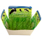 Pflanzodrom mit Samen