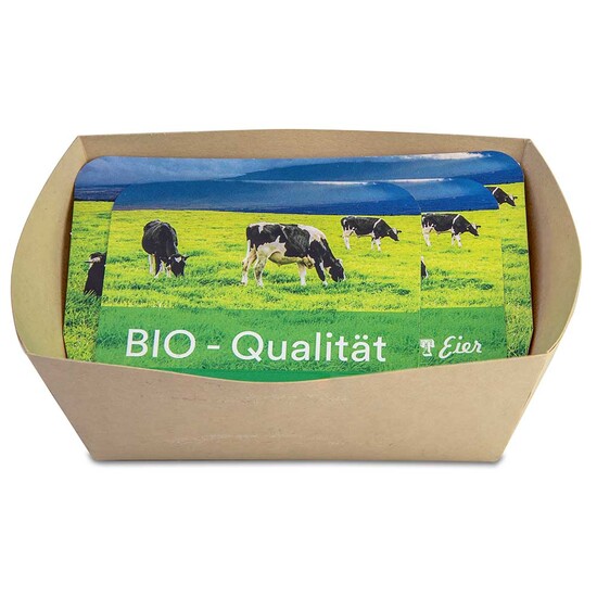 Pflanzodrom mit Samen - Basilikum