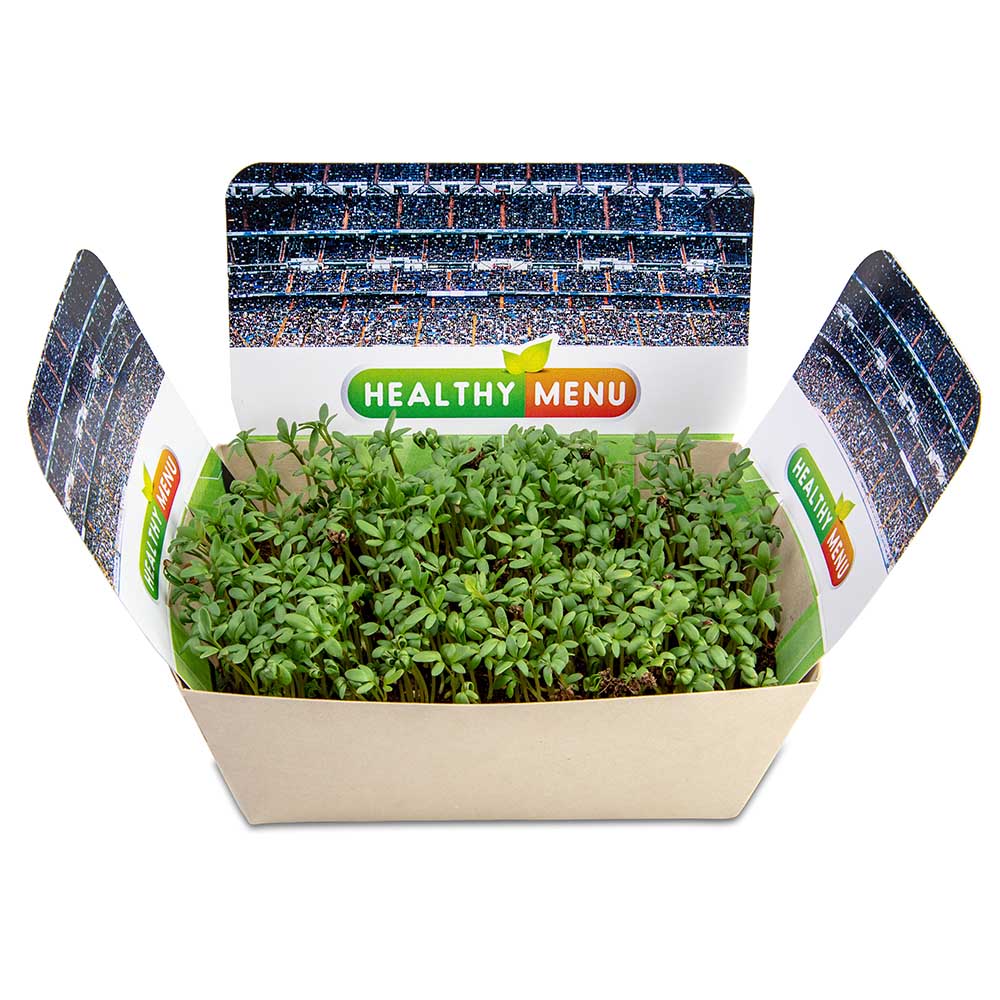 Pflanzodrom mit Samen - Ringelblume