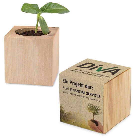 Pflanz-Holz mit Samen (Graspapier-Banderole) - Persischer Klee