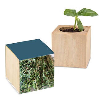 Pflanz-Holz mit Samen - Thymian, 1 Seite gelasert