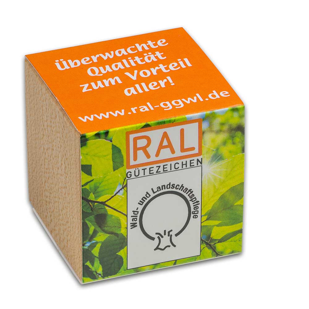 Pflanz-Holz mit Samen - Thymian, 2 Seiten gelasert