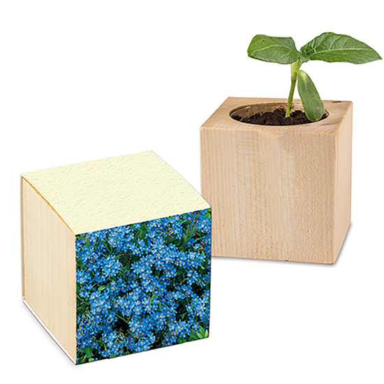 Pflanz-Holz mit Samen (Graspapier-Banderole)