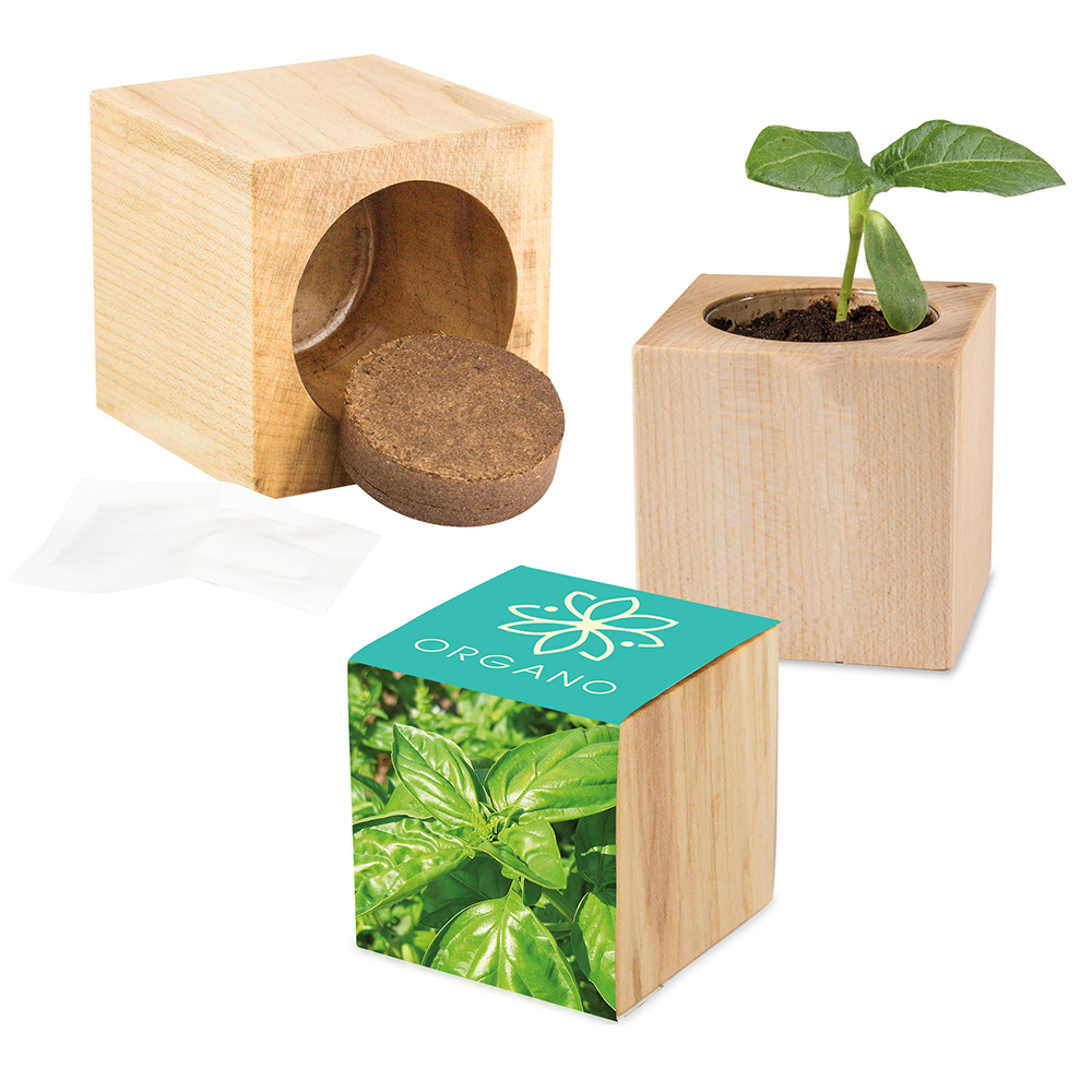 Pflanz-Holz Maxi mit Samen