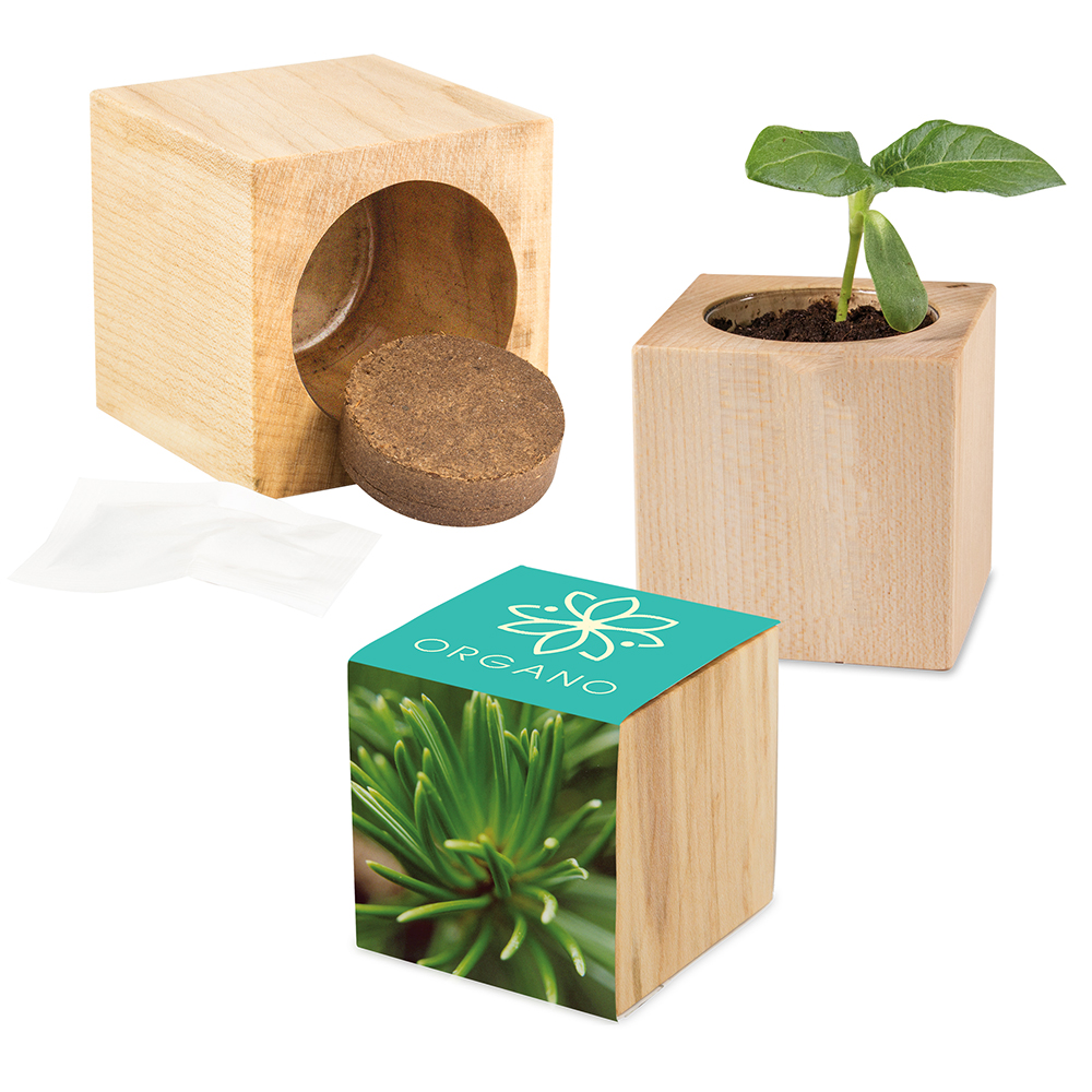 Pflanz-Holz Maxi mit Samen