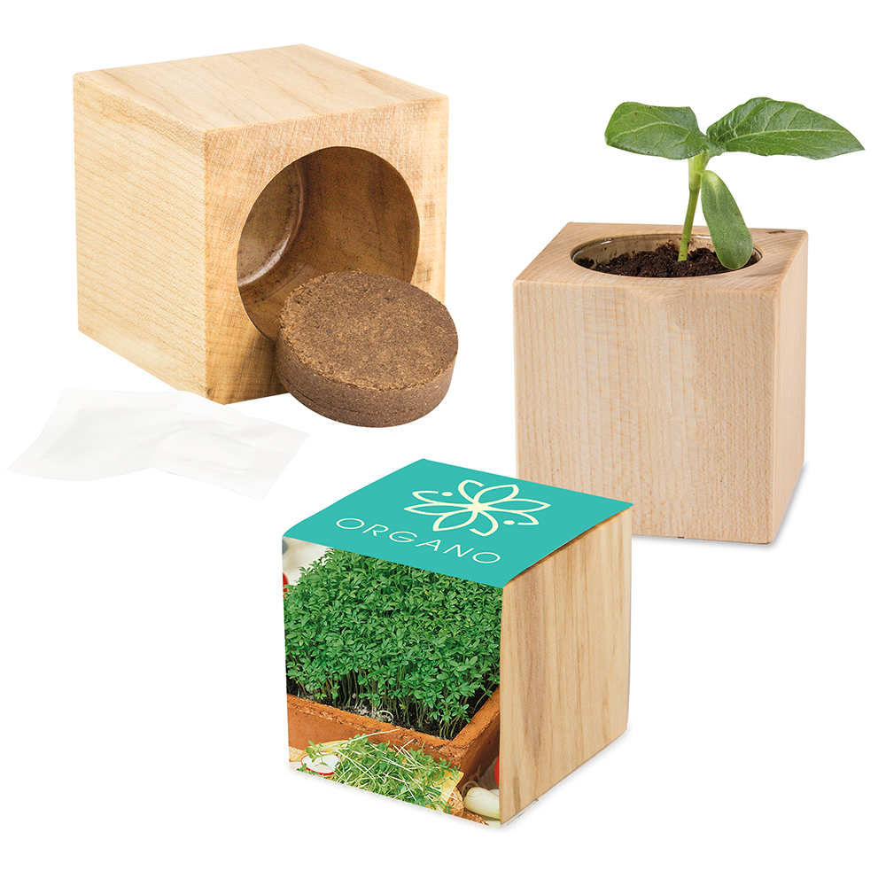 Pflanz-Holz Maxi mit Samen