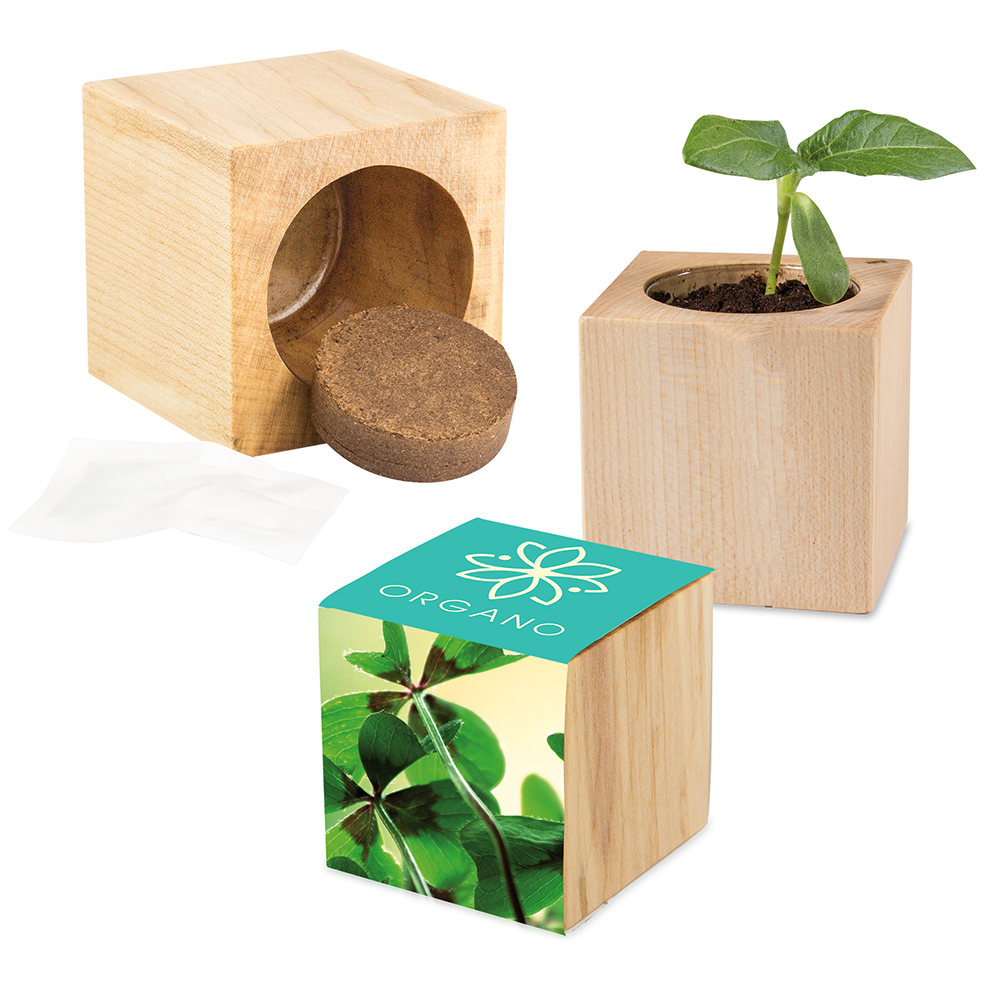 Pflanz-Holz Maxi mit Samen