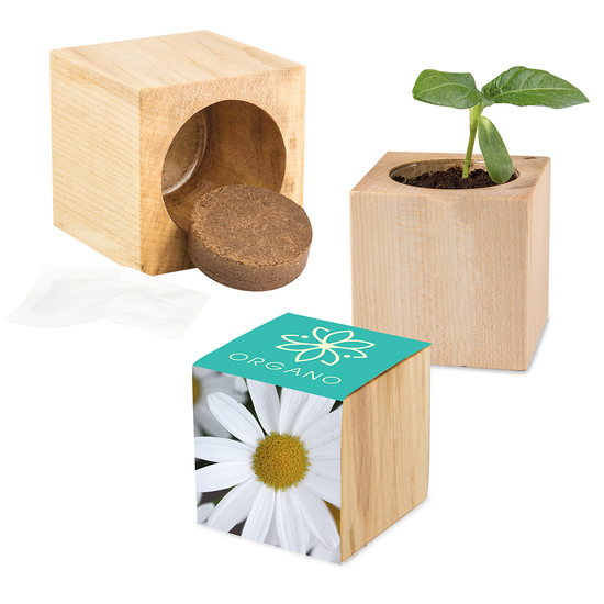 Pflanz-Holz Maxi mit Samen