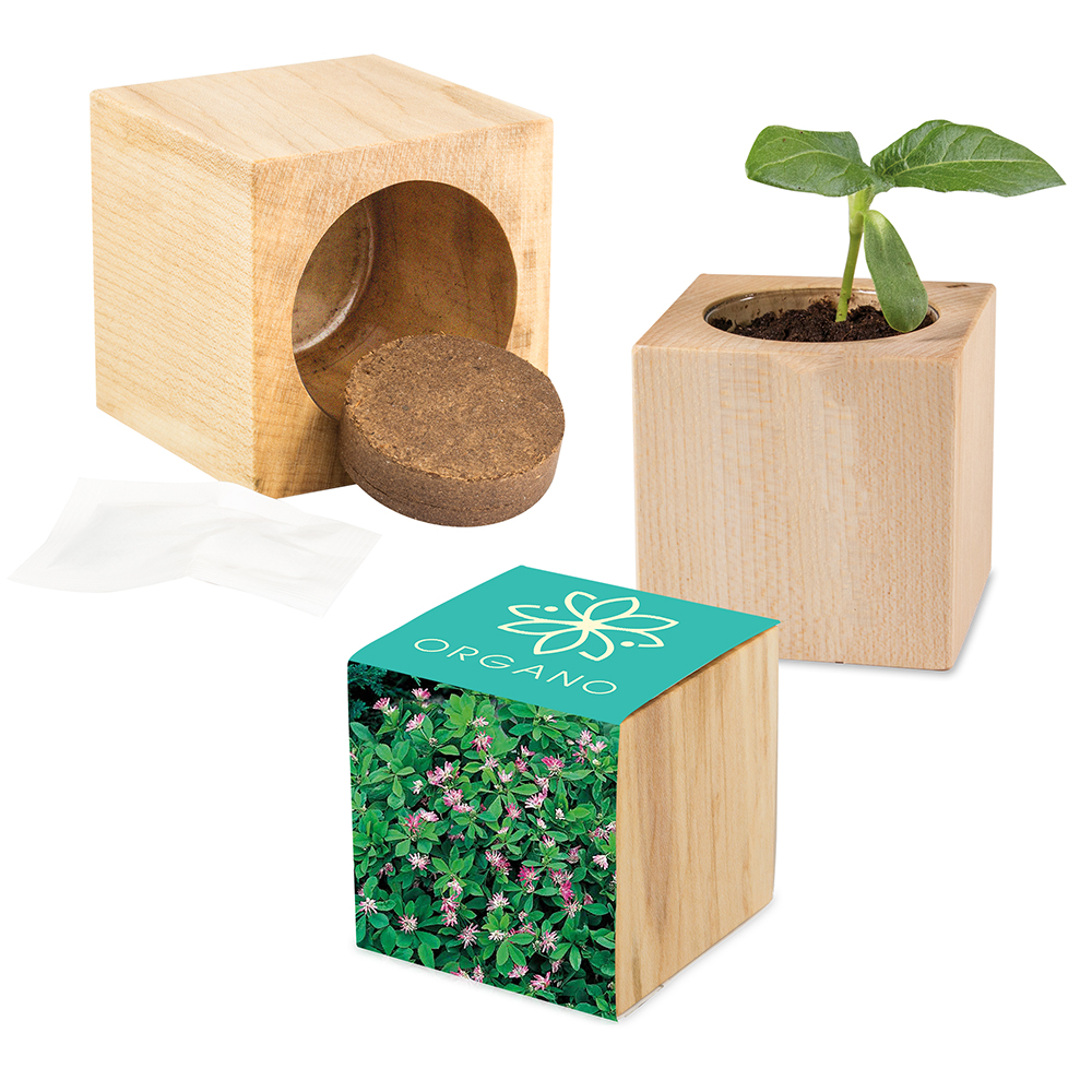 Pflanz-Holz Maxi mit Samen