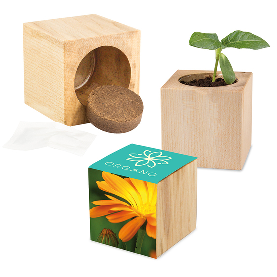Pflanz-Holz Maxi mit Samen