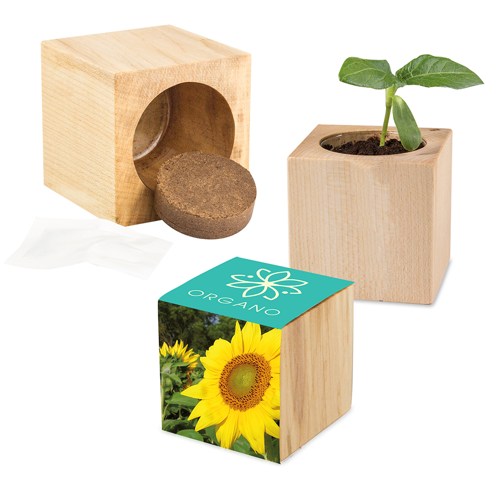 Pflanz-Holz Maxi mit Samen