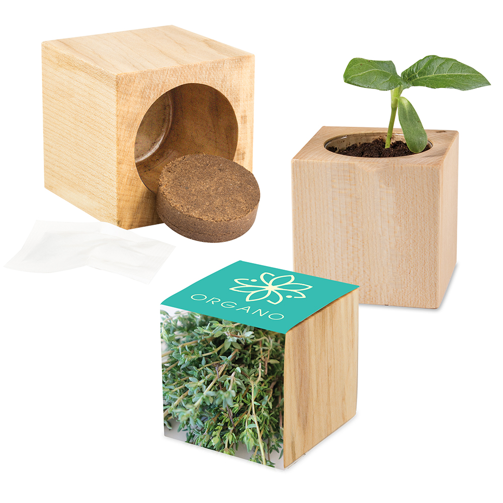 Pflanz-Holz Maxi mit Samen