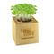 Pflanz-Holz Maxi mit Samen