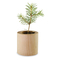 Pflanz-Holz rund mit Samen