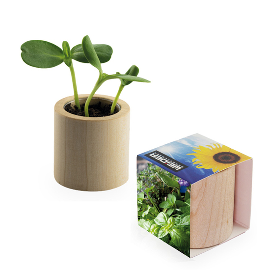 Pflanz-Holz rund mit Samen