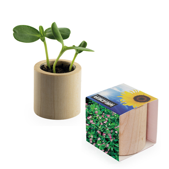 Pflanz-Holz rund mit Samen