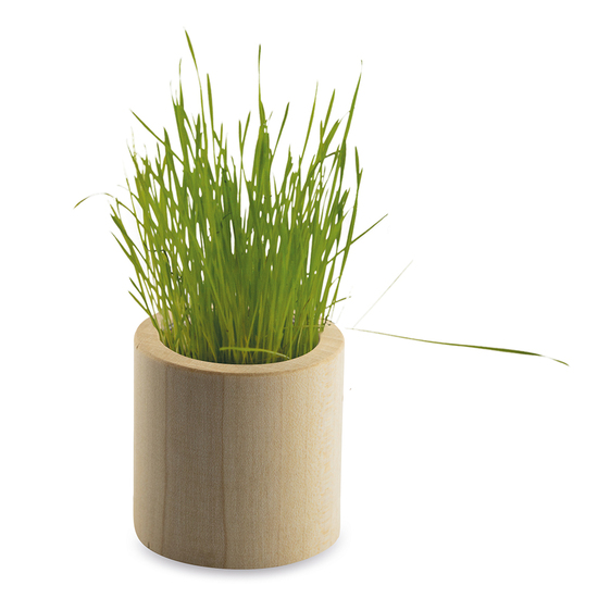 Pflanz-Holz rund mit Samen