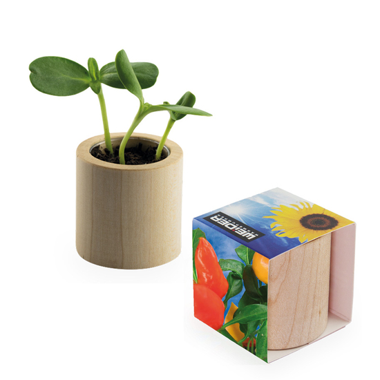 Pflanz-Holz rund mit Samen