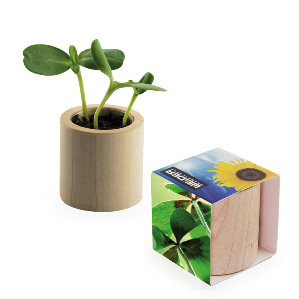 Pflanz-Holz rund mit Samen