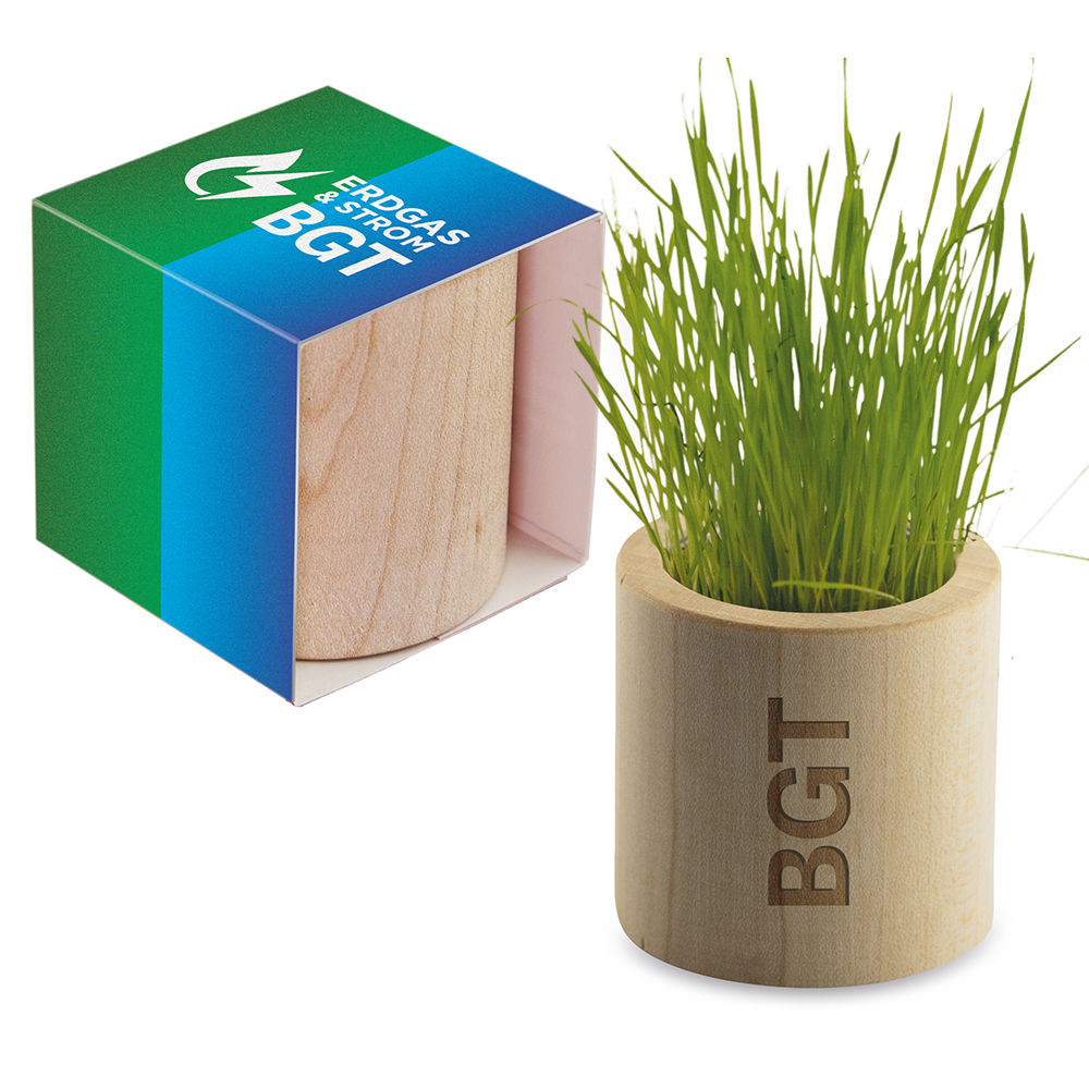 Pflanz-Holz rund mit Samen