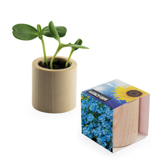 Pflanz-Holz rund mit Samen
