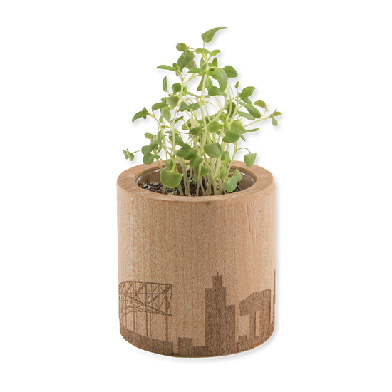 Pflanz-Holz rund mit Samen