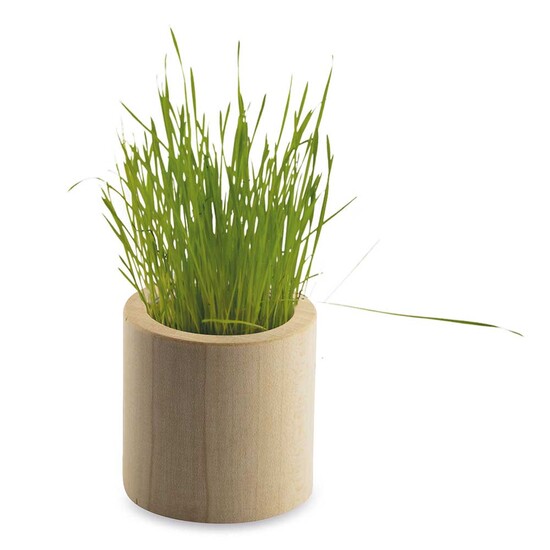 Pflanz-Holz rund mit Samen - Kräutermischung