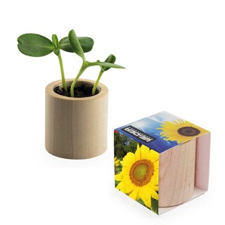 Pflanz-Holz rund mit Samen - Sonnenblume