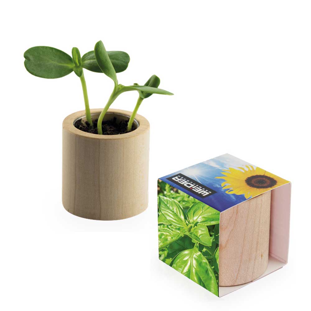 Pflanz-Holz rund mit Samen - Basilikum, Lasergravur