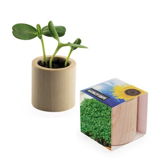 Pflanz-Holz rund mit Samen - Gartenkresse, Lasergravur