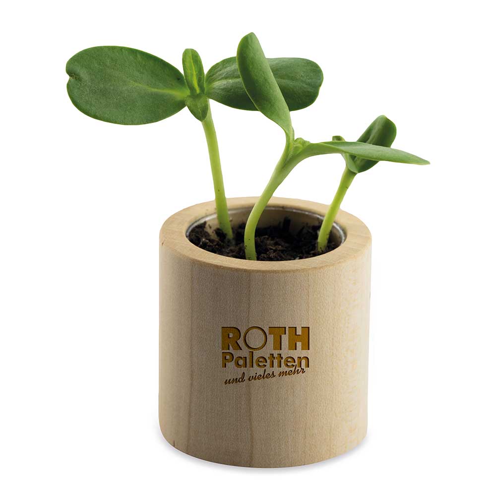 Pflanz-Holz rund mit Samen - Sonnenblume, Lasergravur