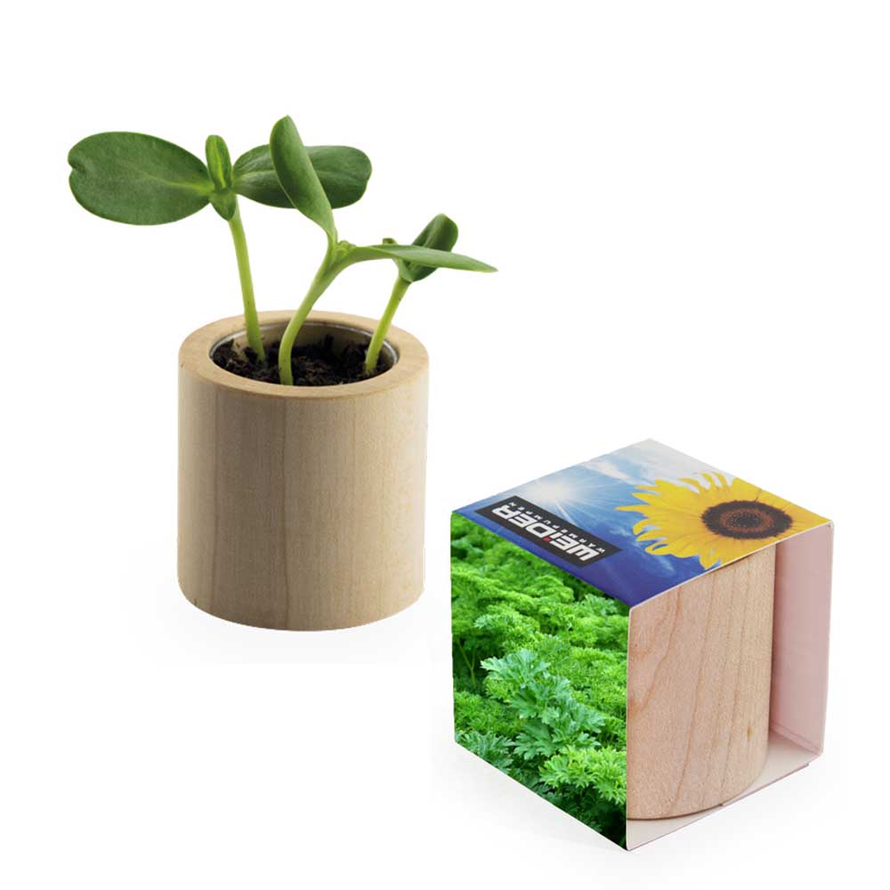 Pflanz-Holz rund mit Samen - Petersilie, Rundum-Lasergravur