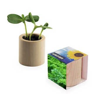 Pflanz-Holz rund mit Samen - Petersilie, Rundum-Lasergravur