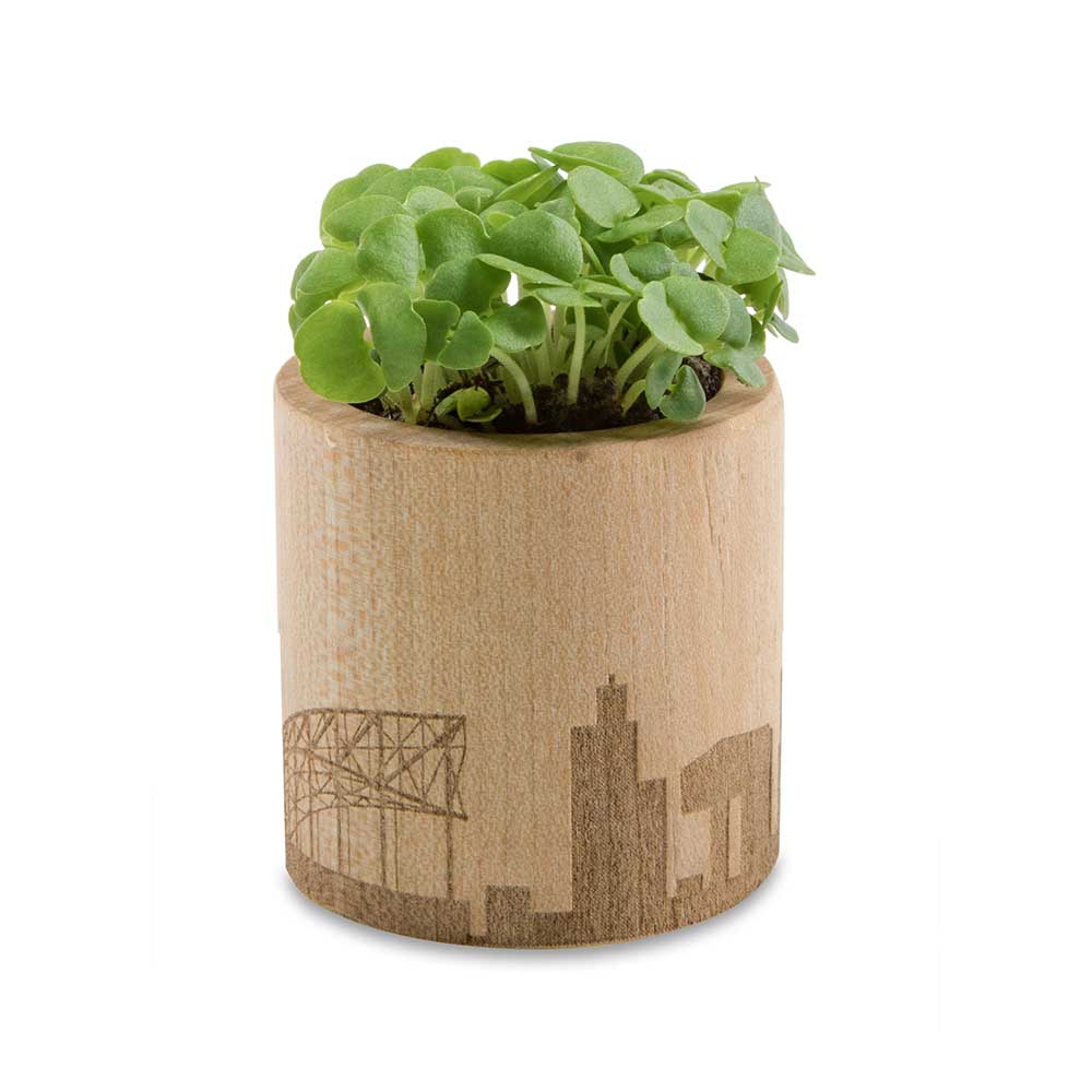 Pflanz-Holz rund mit Samen - Sommerblume, Rundum-Lasergravur