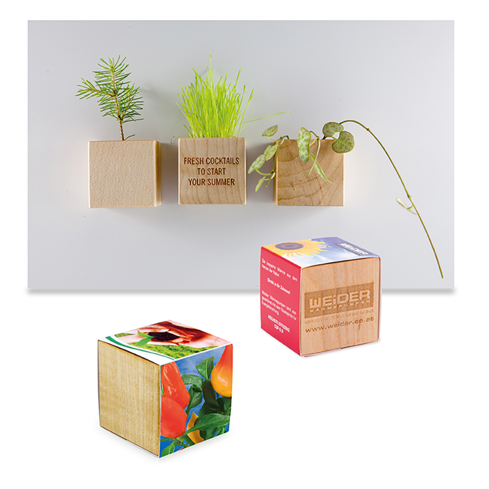 Pflanz-Holz Magnet mit Samen