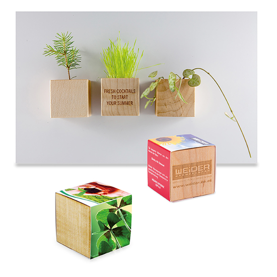 Pflanz-Holz Magnet mit Samen