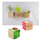 Pflanz-Holz Magnet mit Samen