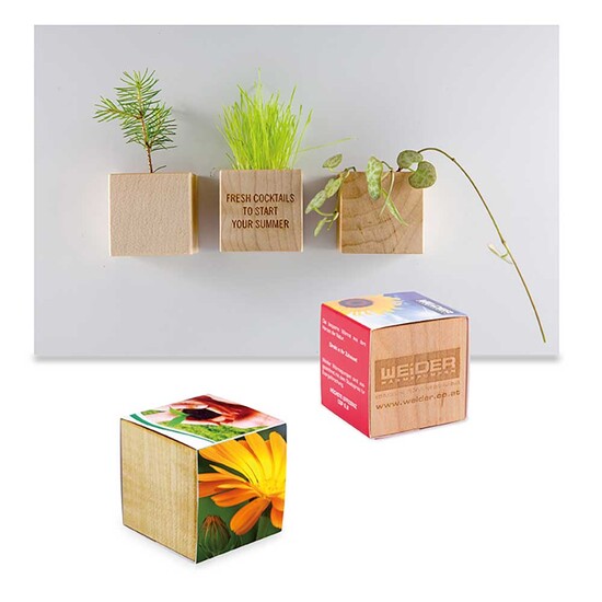 Pflanz-Holz Magnet mit Samen - Ringelblume, 1 Seite gelasert