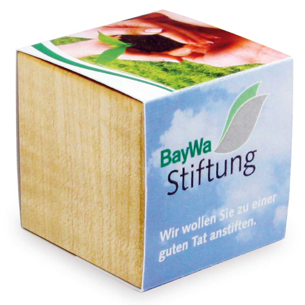 Pflanz-Holz Magnet mit Samen - Fichte, 2 Seiten gelasert