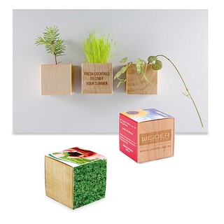 Pflanz-Holz Magnet mit Samen - Gartenkresse, 2 Seiten gelasert