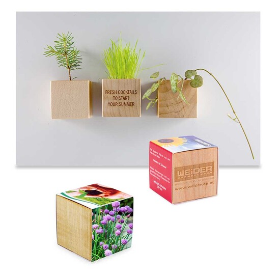 Pflanz-Holz Magnet mit Samen - Petersilie, 2 Seiten gelasert