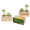 Pflanz-Holz 2er Set mit Samen