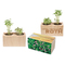 Pflanz-Holz 2er Set mit Samen