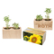 Pflanz-Holz 2er Set mit Samen