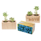 Pflanz-Holz 2er Set mit Samen